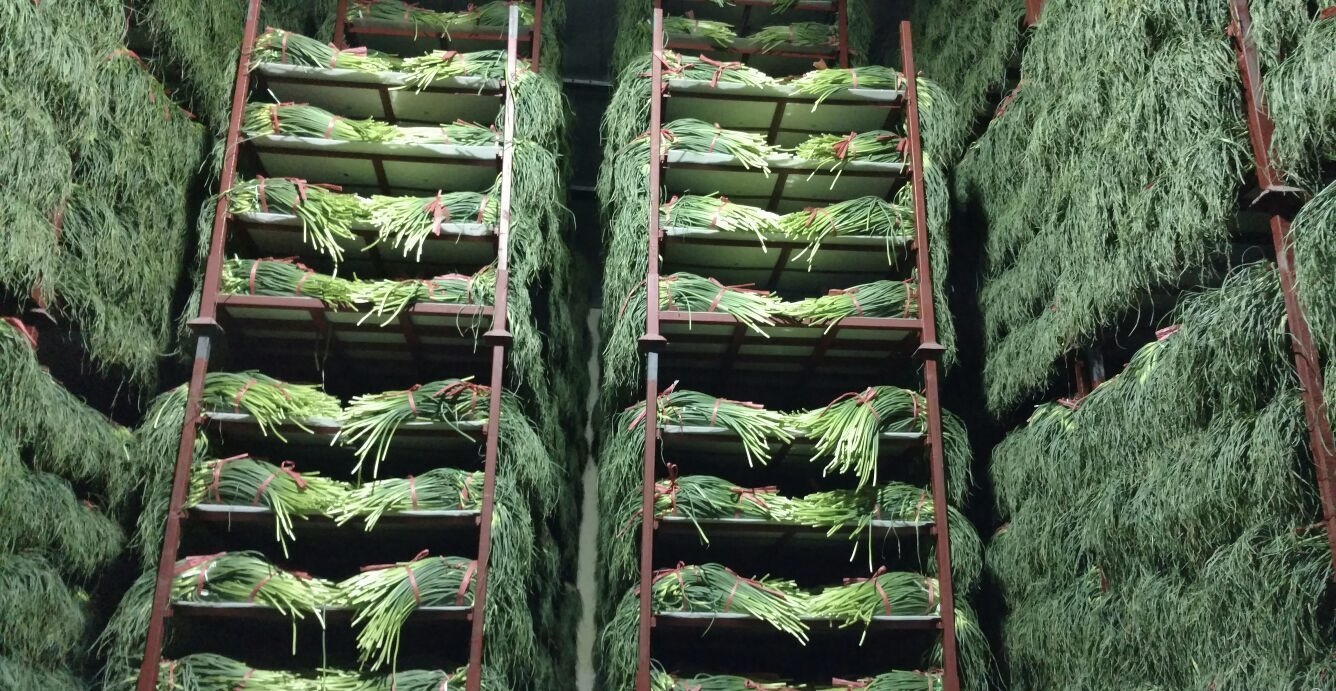 bbbd5de5fe6e496c42aeed43dc3b2f4.jpg bbbd5de5fe6e496c42aeed43dc3b2f4.jpg